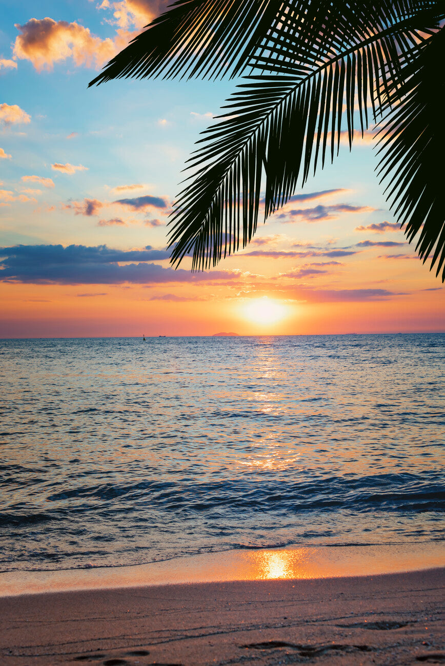 Beach Bliss palm sunset