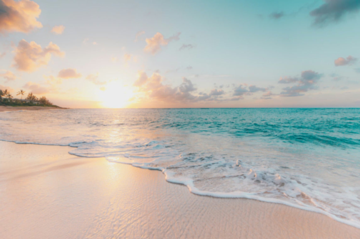 Coastal Vibes beach sunset